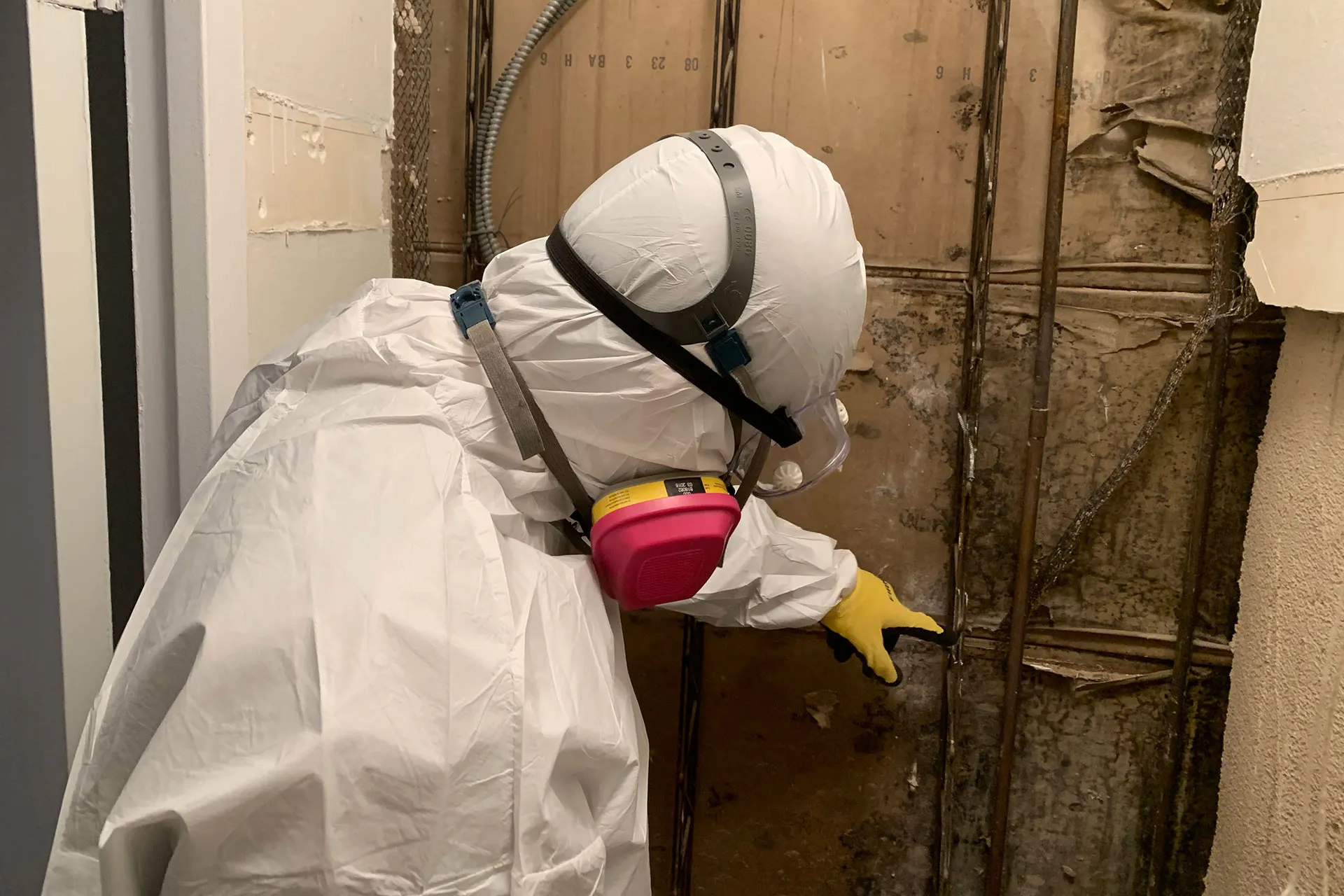 A technician in a protective suit and respirator inspecting mold on an exposed interior wall cavity